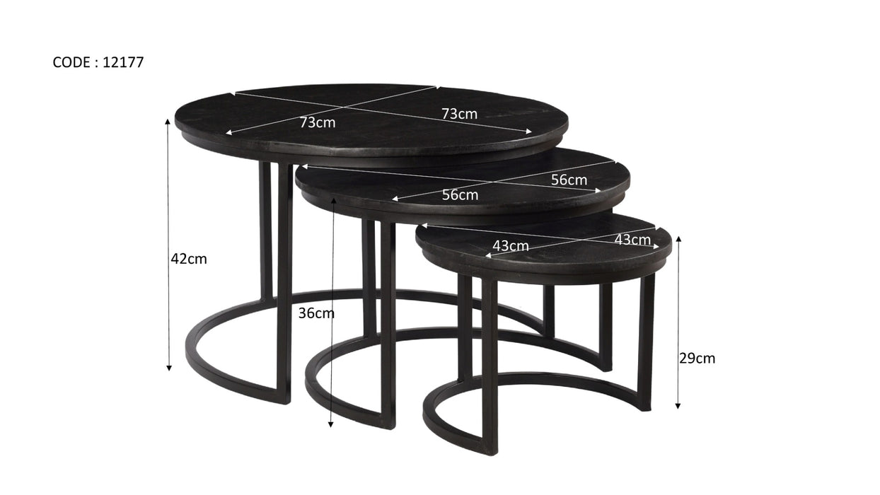 Jerrel Kala Set van 3 Tafels | Mangohout & Zwart Staal
