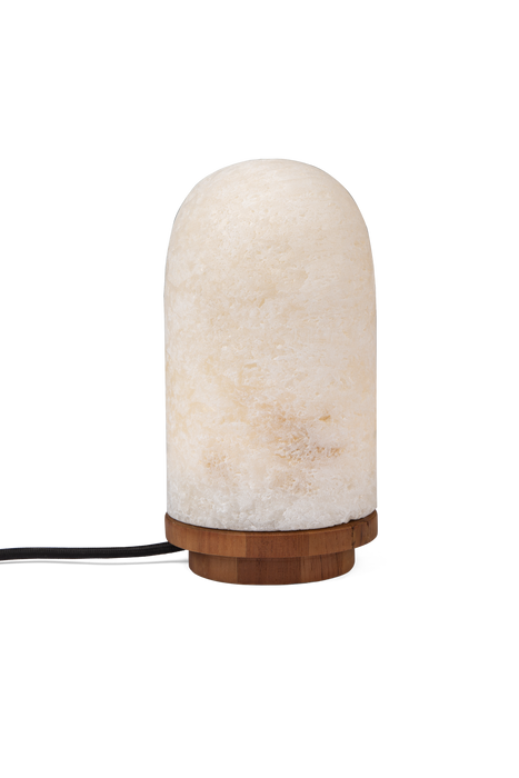 Onyx Bullet Light