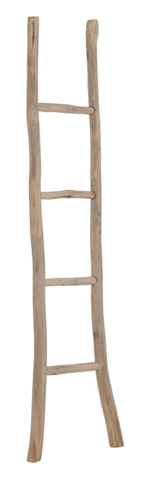 Ladder Must Have