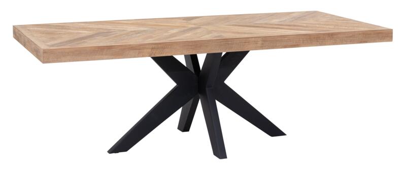 Einstein Eettafel - Rechthoekig - Gerecycled Teakhout