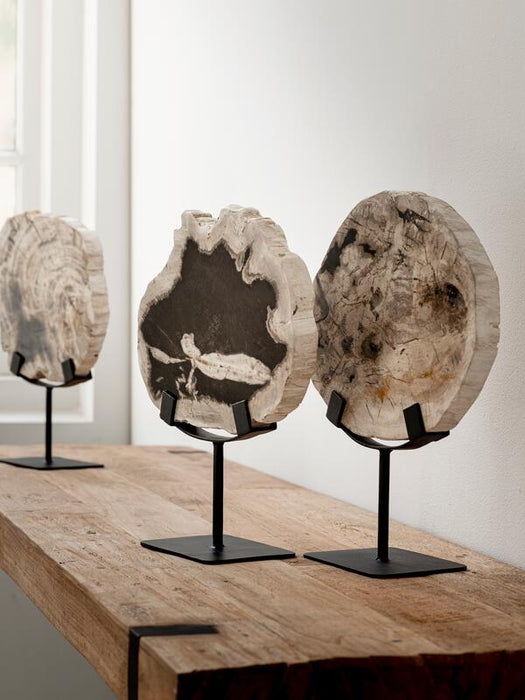 Statue Fossil