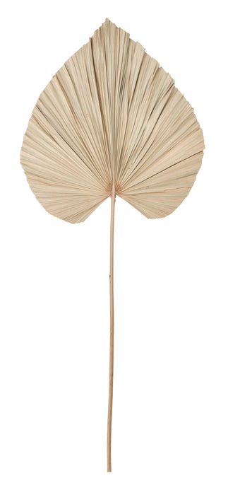 Palm leaf large - ORDER by 4 pcs