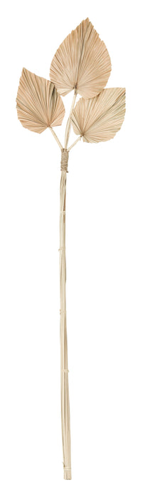 Palmblad Trio - Set van 4