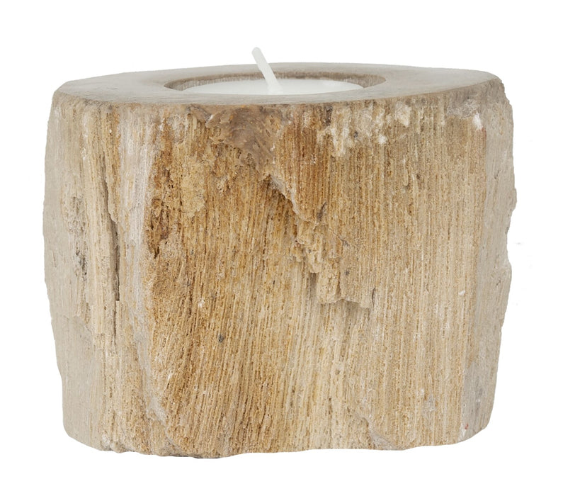 Candle holder Fossil - ORDER by 2 pcs