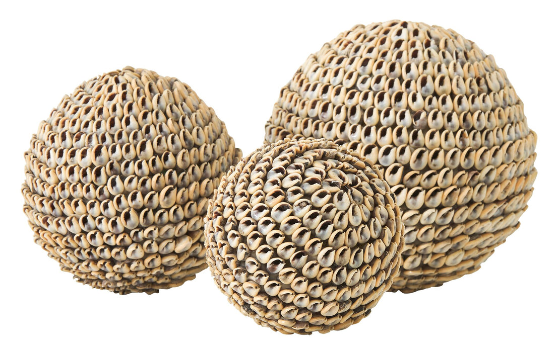 Beach shell ball, set of 3