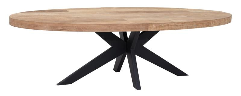 Darwin ovale eettafel - Gerecycled teakhout
