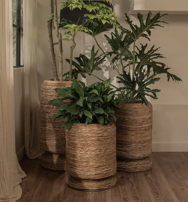 Cone Cover Pot