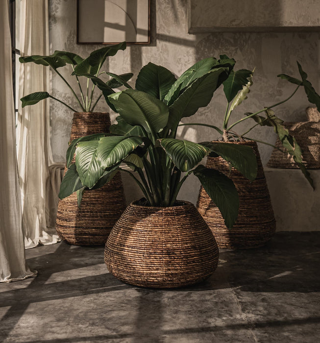 Java Planter - Medium