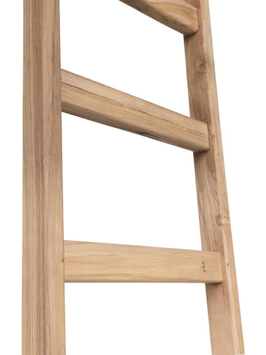 Ladder Steps