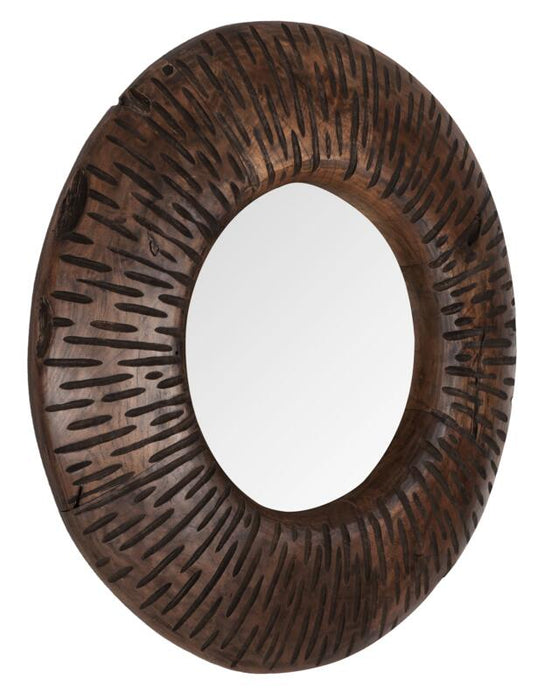 Mirror Cosmos