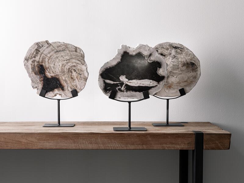 Statue Fossil