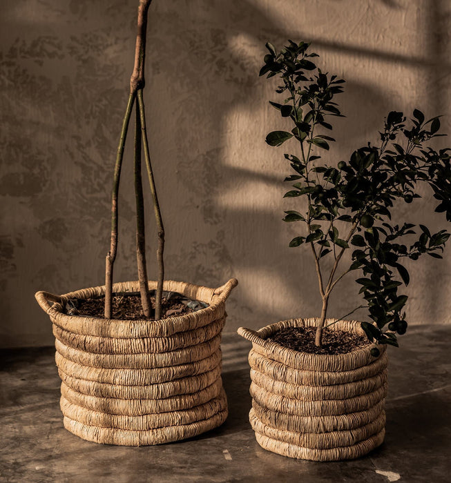 Caterpillar Sago Round Basket - Set of 2